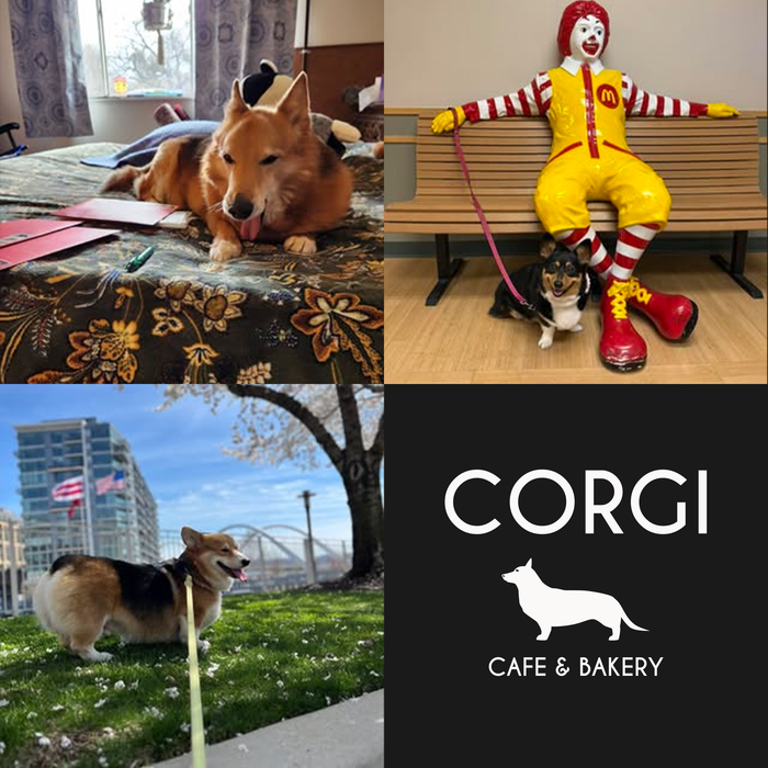Meet Our Dogs of the Month — April