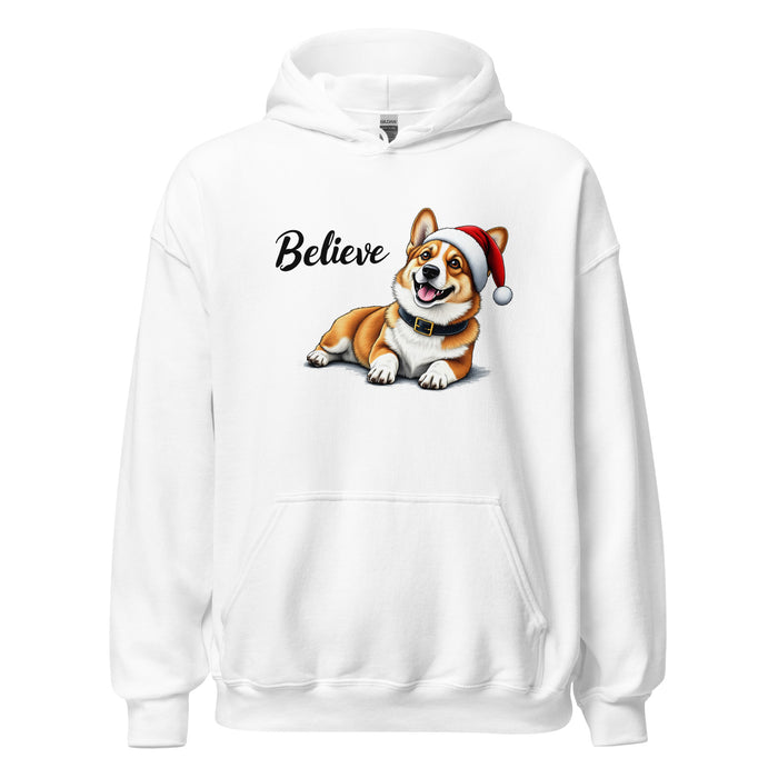 Believe Hoodie